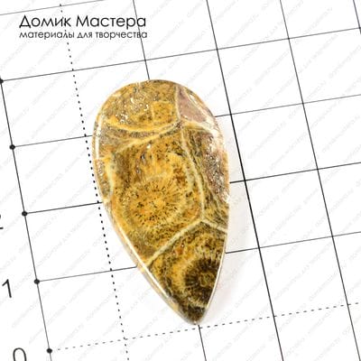 K-K-001173 - коралл, кабошон, Морокко, 36х19х3мм