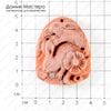 K-Kul-000386 - подвеска резная из камня, 49х40х9мм