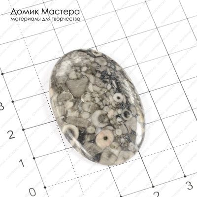 K-K-000909 - окаменелые раковины, кабошон, 41х27х3мм
