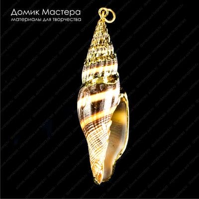 K-Kul-000747 - ракушка, подвеска, с частичным покрытием металлом,  59х17х15мм