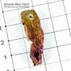 K-Kul-000590 - кристалл кварца тонированный с титановым напылением, подвеска, 37х12х9мм