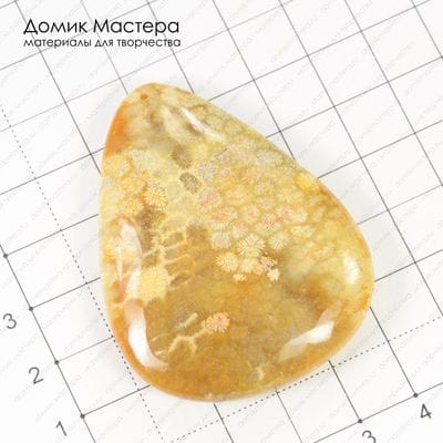 K-Kul-000372 - коралл, подвеска, отличная полировка, 55х43х8мм