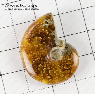 K-Kul-000692 - аммонит подвеска, цельный. двусторонний, 31х25х8мм