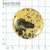 K-Kul-000430 - яшма, подвеска, 46х7мм