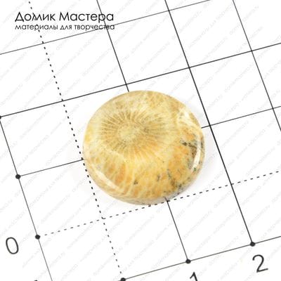 K-K-000877 - коралл, кабошон, Марокко, 18х3мм
