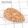 K-K-001517 - ракушечная (Мариам) яшма, натуральный камень, кабошон, Индия, 28х18х4мм