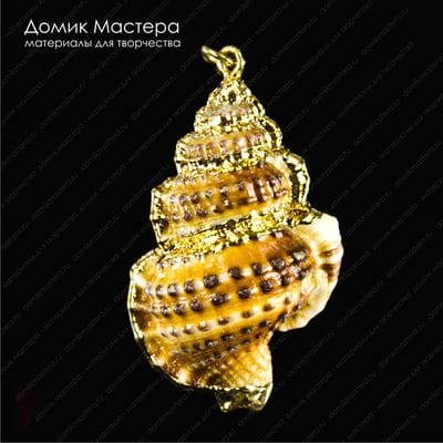K-Kul-000748 - ракушка, подвеска, с частичным покрытием металлом, 42х25х17мм
