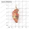 K-Kul-000204 - яшма, подвеска, двустронняя, крыло, 41х21х8мм