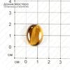K-K-001304 - тигровый глаз, кабошон, Африка, 20х15х7мм