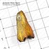 K-Kul-000523 - кристалл кварца, подвеска, титановое напыление, 32х18х8мм