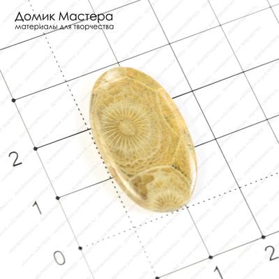 K-K-000851 - коралл, кабошон, Марокко, 29х16х3мм