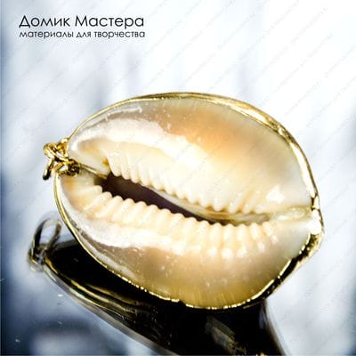 K-Kul-000751 - ракушка, подвеска, с частичным покрытием металлом, 31х23х15мм