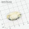 K-K-000657 - опал моховой, кабошон, Турция, 32х20х6мм