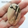 K-K-002380 - яшма калиновская, кабошон, натуральный камень, месторождение - Россия, 47х28х5мм