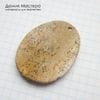 K-Kul-001155 - яшма аушкульская, подвеска, натуральный камень,  Россия, 46х36х5мм