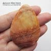 K-K-002359 - переливт (агат), кабошон, натуральный камень, месторождение - Россия, 55х40х3мм