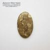 K-K-000588 - яшма кокосовая, кабошон, Африка, 39х24х5мм