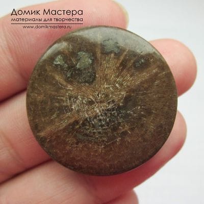 K-K-000903 - коралл, кабошон, Марокко, 29,5х3мм