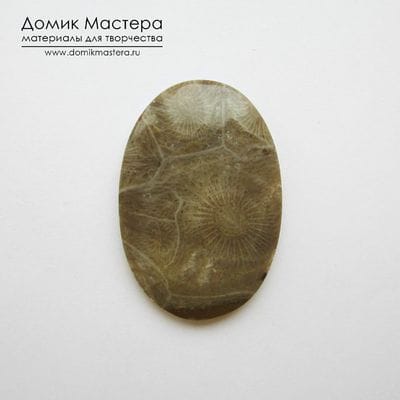 K-K-000981 - коралл, кабошон, Марокко, 34х23х4мм