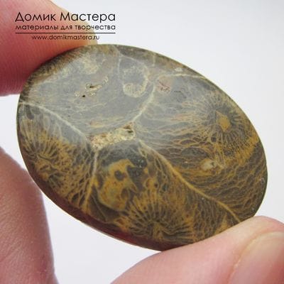 K-K-001004 - коралл, кабошон, Марокко, 32х24х4мм