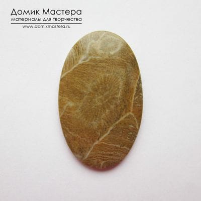 K-K-001017 - коралл, кабошон, Морокко, 35x22x2 мм