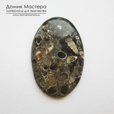 K-K-001527 - окаменелости, кабошон, натуральный камень, Африка, 46х30х5мм