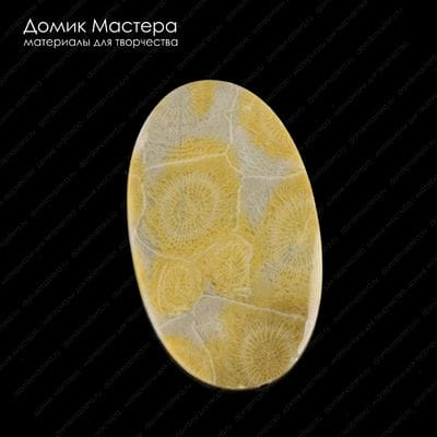 K-K-001603 - коралл, кабошон, натуральный камень, Индонезия, 50х29,5х3мм