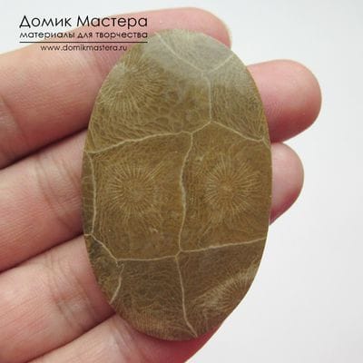 K-K-001668 - коралл, кабошон, натуральный камень, Марокко, 51х31х4мм