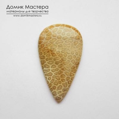K-K-001745 - коралл, кабошон, натуральный камень, Индонезия, 47х28х5мм