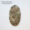 K-K-001884 - яшма брекчиевая, кабошон, натуральный камень, Австралия, 57х31х5мм