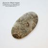 K-K-001884 - яшма брекчиевая, кабошон, натуральный камень, Австралия, 57х31х5мм