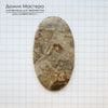 K-K-001884 - яшма брекчиевая, кабошон, натуральный камень, Австралия, 57х31х5мм