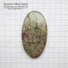K-K-001897 - яшма брекчиевая, кабошон, натуральный камень, Австралия, 42х23х5мм