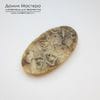 K-K-001989 - агат, окаменелости, кабошон, натуральный камень, 52х29х4мм