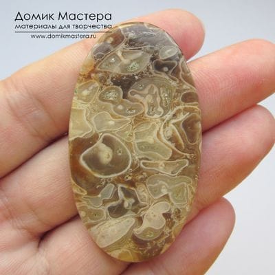 K-K-001989 - агат, окаменелости, кабошон, натуральный камень, 52х29х4мм