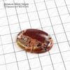 K-K-002045 - яшма брекчиевая, кабошон, натуральный камень, Австралия, 36х25х7мм