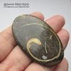 K-K-002209 - агат (окаменелости), кабошон, натуральный камень, Мадагаскар, 50х33х4мм