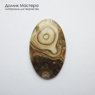 K-K-002307 - окаменелое дерево, кабошон, натуральный камень,  Африка, 43х26х5мм