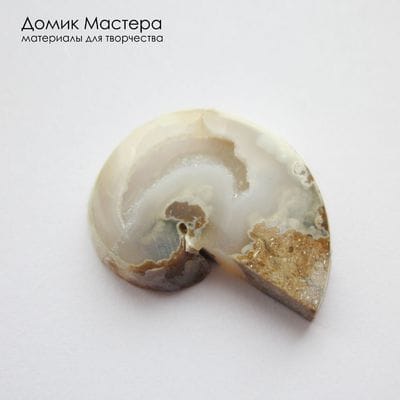 K-K-002326  - аммонит (замещенный кварцем), сквозная жеода с кристаллами, кабошон, вставка, натуральный камень, Африка,26х21х4мм
