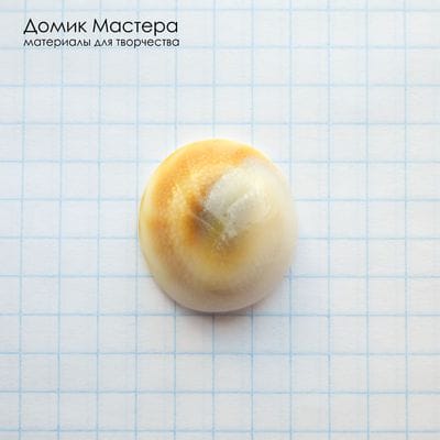 K-K-002347 - ракушка, "глаз Шивы", кабошон/вставка, натуральный, Индия, 22х20х8мм