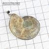 K-Kul-000781 - аммонит, подвеска, латунь, натуральный камень, Мадагаскар, 47х36х7мм