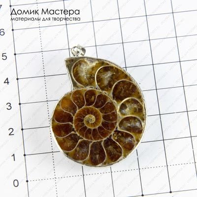 K-Kul-000781 - аммонит, подвеска, латунь, натуральный камень, Мадагаскар, 47х36х7мм