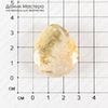 K-Kul-000836 - коралл окаменелый, подвеска, натуральный камень, двояковыпуклая. двусторонняя
