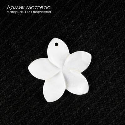 K-Kul-000891 - перламутр, подвеска, натуральный камень, 37х39х3мм