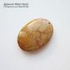 K-Kul-001037 - коралл окаменелый, подвеска, двояковыпуклая, двусторонняя,  натуральный камень, Африка