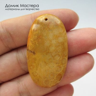K-Kul-001038 - коралл окаменелый, подвеска, натуральный камень, Африка,  41х22х7мм