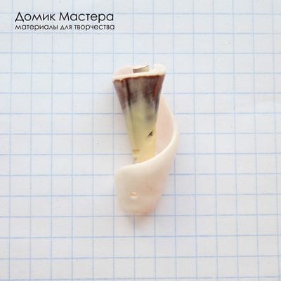 K-Kul-001061 - ракушка, подвеска,  натуральная, 31х15мм