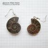 K-Kul-001092 - аммонит, подвеска,  серьги, натуральный камень, 29х24х7мм и 30х25х8мм