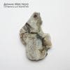 K-Kul-001125 - агат, срез, подвеска, натуральный камень, Мексика, 42х27х4мм