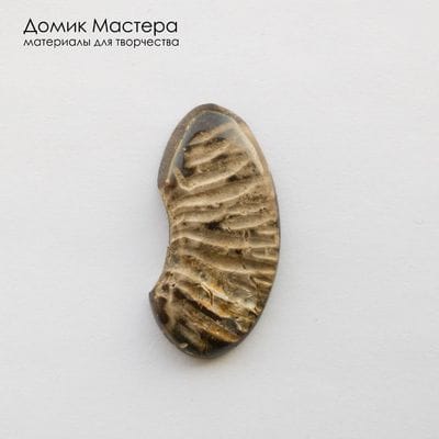 K-K-002445 - аммонит, кабошон, натуральный камень, Африка, 37х18х4 мм